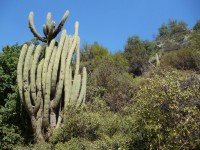 /album/fotogaleria-rutas/rio-clarillo3-jpg/